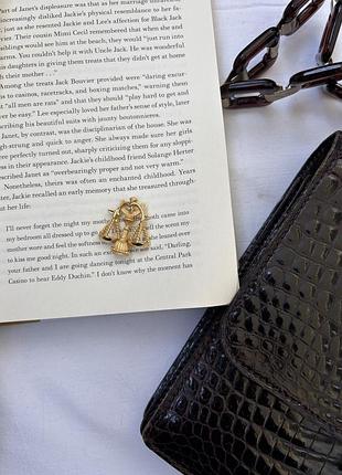 Брошка віси