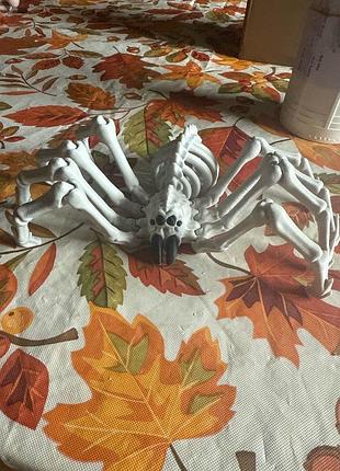 Скелет павука з рухомими частинами (3d-друк)