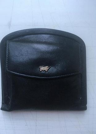 Braun buffel