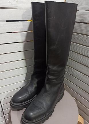 Чоботи massimo dutti