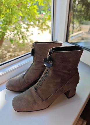 Замшевые сапожки mango