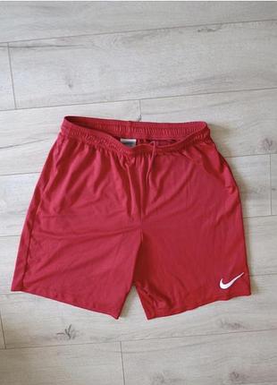 Шорти nike чоловічі
