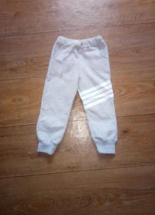 Спортивні штани