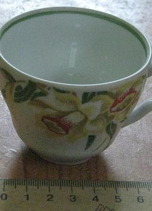 Чашка барановского фарфорового завода