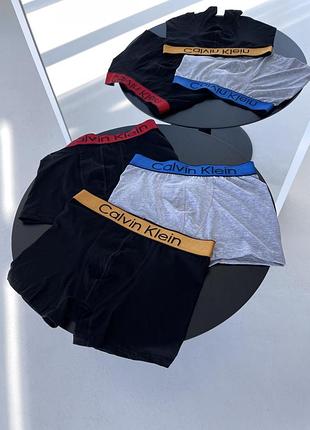 Труси calvin klein (3 пари)
