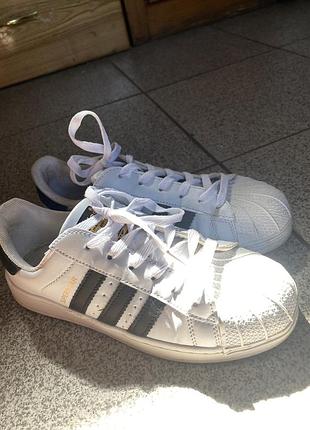 Кросівки superstar жіночі білі на шнурівці