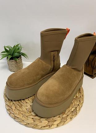 Уггі угги чоботи жіночі сапоги валянки  classic dipper boot 1144031