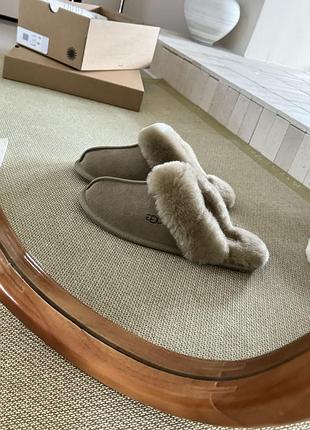 Капці зимові