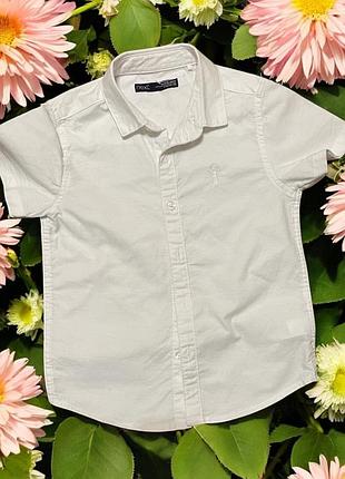 Сорочка білосніжна next 2-3yrs/ 98cm, 98% cotton 2% elastane, заміри на фото