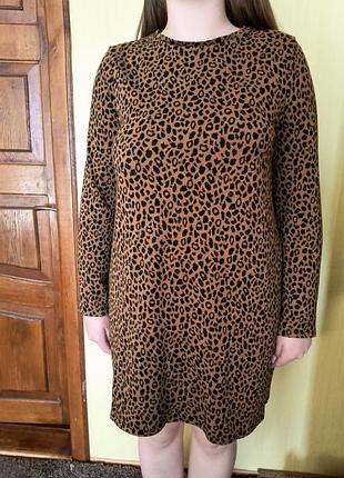 Сукня трикотажна платье трикотажное