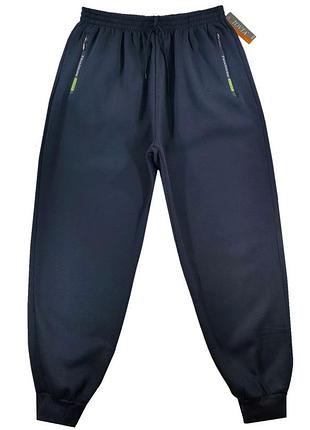 Штаны спортивные мужские утепленные большого размера 60.62.66 синий