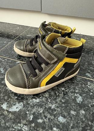 Дитячі чоботи демісізонні geox