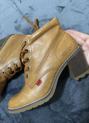 Черевики kickers