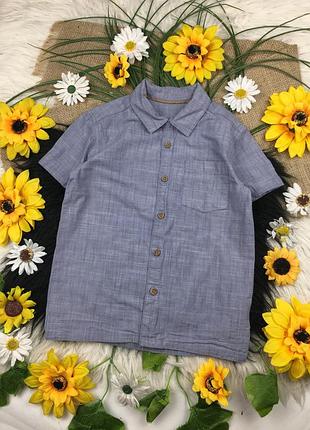 Блакитна теніска на 4-5 років