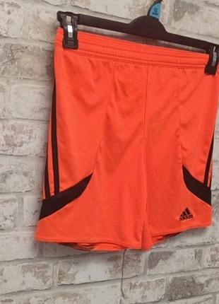 Спортивные шорты