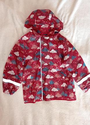 Дощовик дитячий