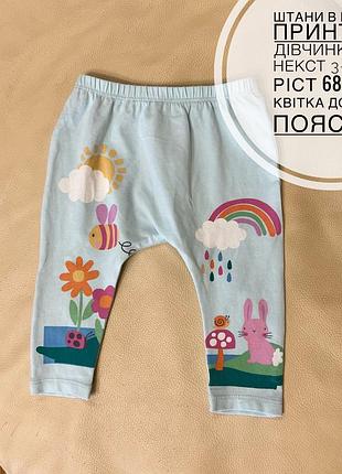 Штани в милий принт на дівчинку від некст 3-6 міс ріст 68 заді квітка дов 32.5, пояс 18.5