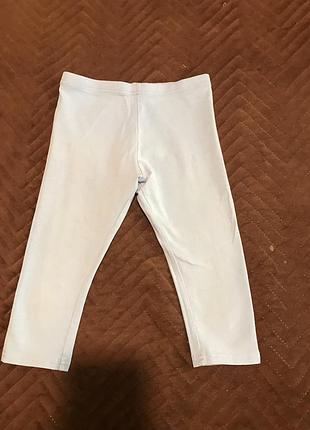 Бріджі голубі котонові