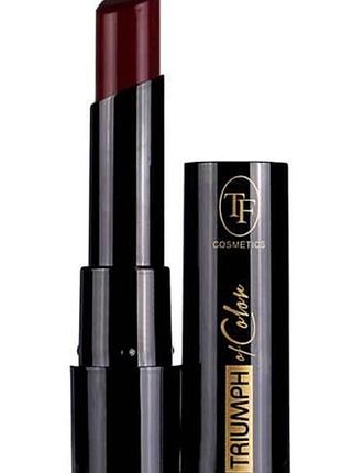 Помада для губ з текстурою м’якої карамелі колір бургунді ft of color (cz21) 720