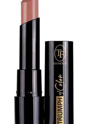 Помада для губ з текстурою м’якої карамелі абрикосовий нюд ft of color (cz21) 710