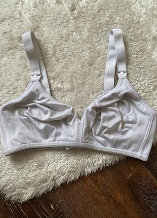 Бюсгалер без кісточок