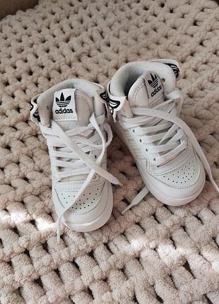 Кроссовки adidas