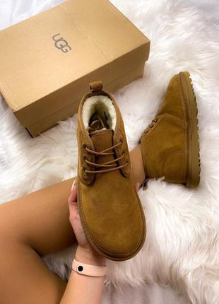 Шикарные женские зимние ботинки топ качество ugg ❄️🥭2 фото