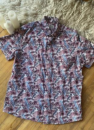 Літня стильна сорочка з папугами у червоних тонах next