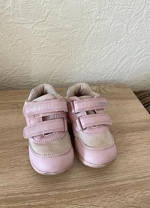 Черевики geox