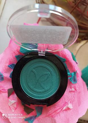 Тіні  ів роше