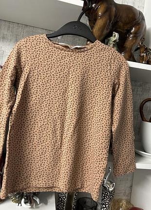 Реглан h&m