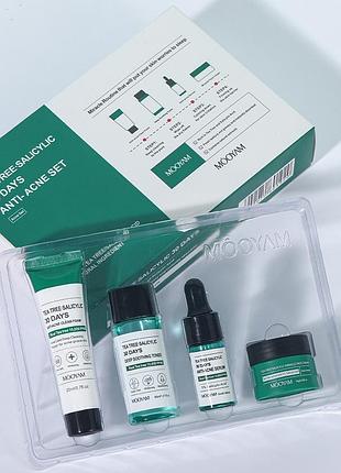 Міні-набір по догляду за обличчям 4 в 1 з чайним деревом і саліциловою кислотою "anti acne set" mooyam