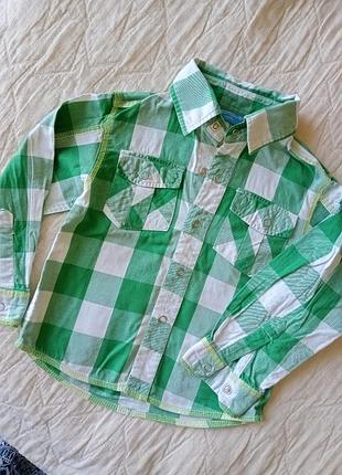 Сорочка campus