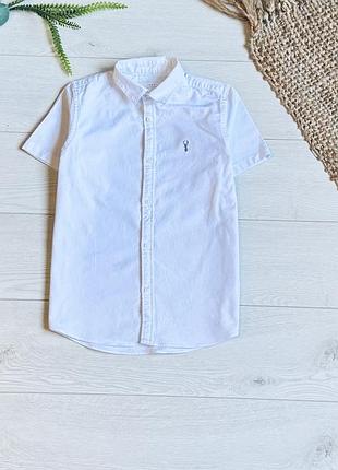 🌿сорочка next на 8/9 р ціна -175 г🌿д/50 см ширина-40 см