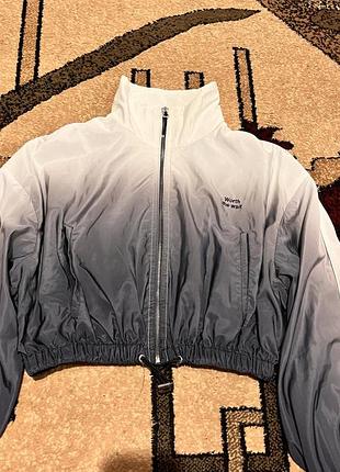 Вітровка сіра