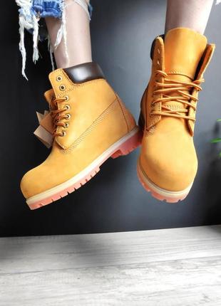 Timberland 'gernie'🆕шикарні чоловічі черевики🆕купити накладений платіж