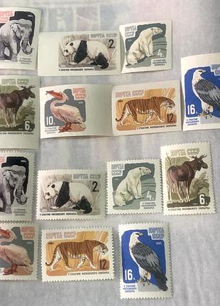 Срср. 1964 р.  (sp) **