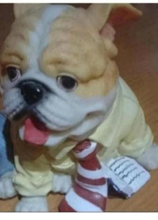 Cтатуетка собака бос скарбничка