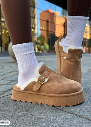 Тапули рыжие замш