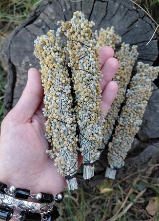Скрутки з полину (artemisia absinthium), збір на ламмас 2025