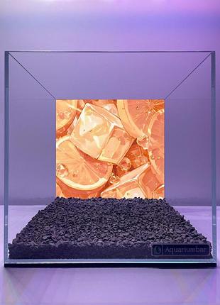 Аквариум для рыбок