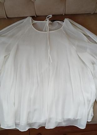 Zara trafaluc collection