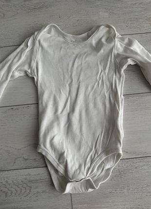 Бодик белый