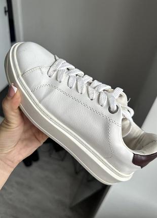 Кеди зара zara
