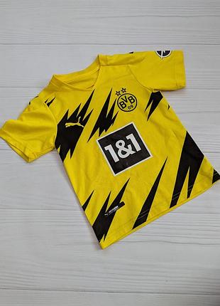 Футболка спортивная футбол dortmund 7 sancho