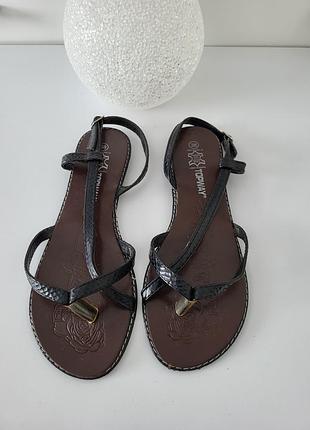 Женские босоножки не на широкую ногу /кожа /р.38