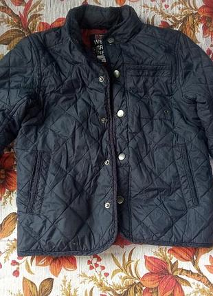 Куртка весна осень