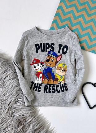 Кофта, лонгслив, реглан c&amp;a paw patrol 4 года, 104 см
