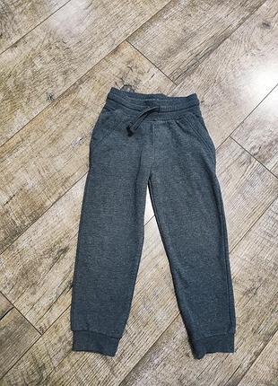 Брюки, джоггеры утепленные, с начесом, primark, р. 110, 5 лет, длина 62см