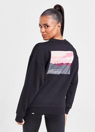 Утеплений світшот the north face never stop exploring back print fleece sweatshirt